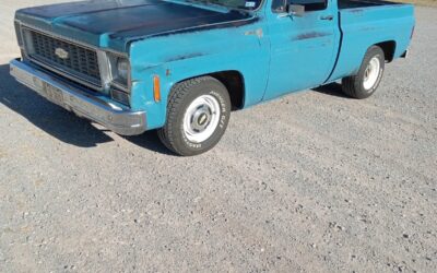 Chevrolet C-10 1976