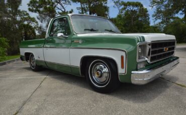Chevrolet-C-10-1978-18