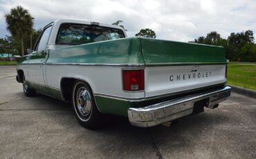Chevrolet-C-10-1978-6