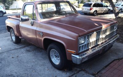 Chevrolet C-10 1981