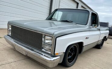 Chevrolet-C-10-1981-Standard-Cab-Pickup-1