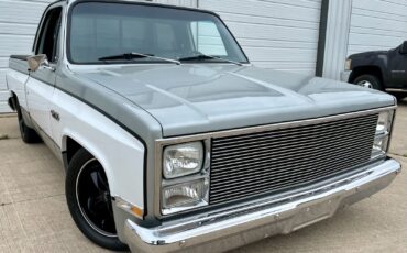 Chevrolet-C-10-1981-Standard-Cab-Pickup-4