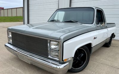 Chevrolet C-10 1981 Standard Cab Pickup