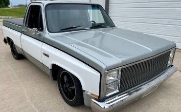 Chevrolet-C-10-1981-Standard-Cab-Pickup-5