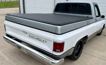 Chevrolet-C-10-1981-Standard-Cab-Pickup-6