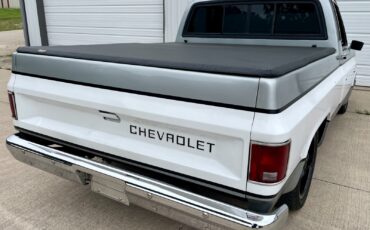 Chevrolet-C-10-1981-Standard-Cab-Pickup-7