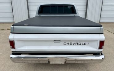 Chevrolet-C-10-1981-Standard-Cab-Pickup-8