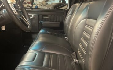 Chevrolet-C-10-1981-Standard-Cab-Pickup-9