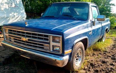 Chevrolet C-10 1983 Standard Cab Pickup