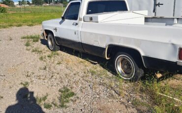 Chevrolet-C-10-1984-1