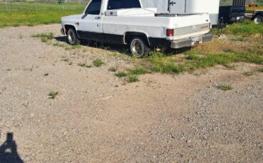 Chevrolet-C-10-1984-4