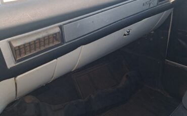 Chevrolet-C-10-1984-5