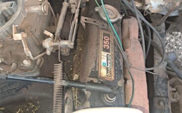 Chevrolet-C-10-1984-9