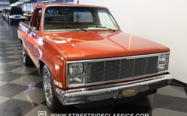 Chevrolet-C-10-1985-Pickup-Truck-14