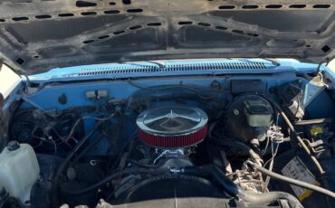 Chevrolet-C-10-1985-Standard-Cab-Pickup-10