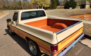 Chevrolet-C-10-1987-11