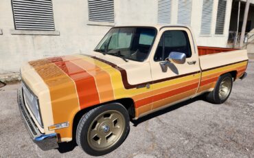 Chevrolet-C-10-1987-13