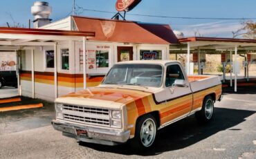 Chevrolet-C-10-1987-14