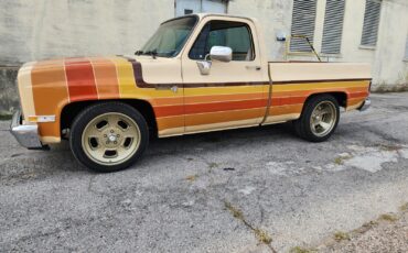Chevrolet-C-10-1987-15