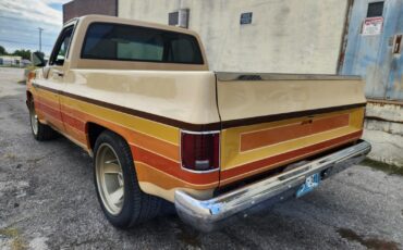Chevrolet-C-10-1987-16