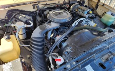 Chevrolet-C-10-1987-23
