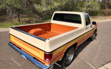 Chevrolet-C-10-1987-5