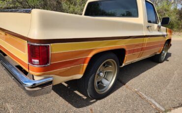 Chevrolet-C-10-1987-6