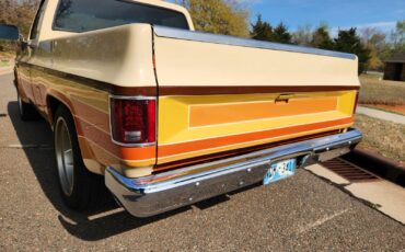 Chevrolet-C-10-1987-7