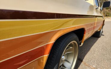 Chevrolet-C-10-1987-9