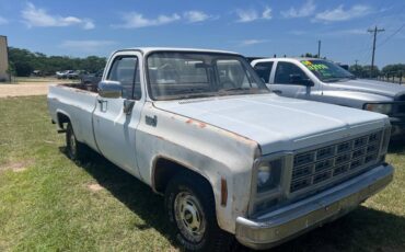 Chevrolet-C-10-pickup-1979-white-1