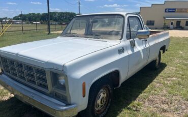 Chevrolet-C-10-pickup-1979-white-2