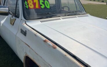 Chevrolet-C-10-pickup-1979-white