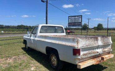 Chevrolet-C-10-pickup-1979-white-4