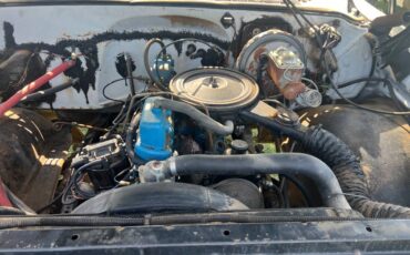 Chevrolet-C-10-pickup-1979-white-6