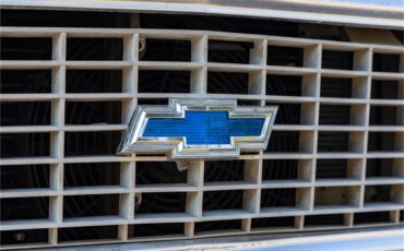 Chevrolet-C10-1972-White-and-Ochre-Black-and-gray-22