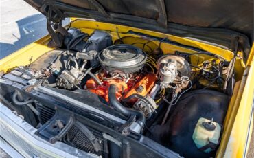Chevrolet-C10-1972-White-and-Ochre-Black-and-gray-72