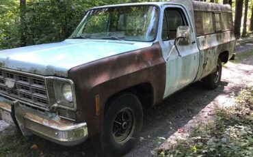 Chevrolet-C10-1977-Blue-1