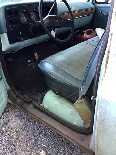 Chevrolet-C10-1977-Blue-6