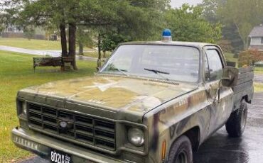 Chevrolet-C10-1977-Brown-Black