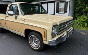 Chevrolet-C10-1977-Two-tone-beige-and-t-Tan-1