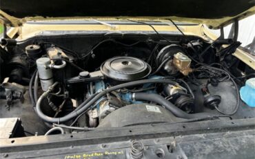 Chevrolet-C10-1977-Two-tone-beige-and-t-Tan-11
