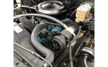 Chevrolet-C10-1977-Two-tone-beige-and-t-Tan-15