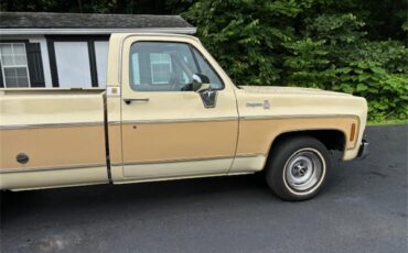 Chevrolet-C10-1977-Two-tone-beige-and-t-Tan-2