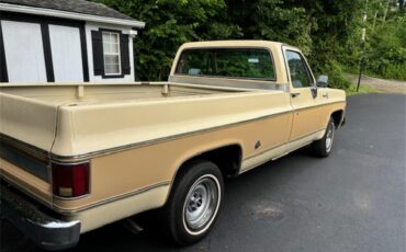 Chevrolet-C10-1977-Two-tone-beige-and-t-Tan-3