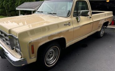 Chevrolet-C10-1977-Two-tone-beige-and-t-Tan