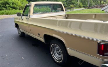 Chevrolet-C10-1977-Two-tone-beige-and-t-Tan-4