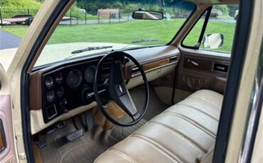 Chevrolet-C10-1977-Two-tone-beige-and-t-Tan-5