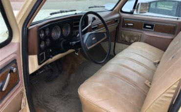 Chevrolet-C10-1977-Two-tone-beige-and-t-Tan-7
