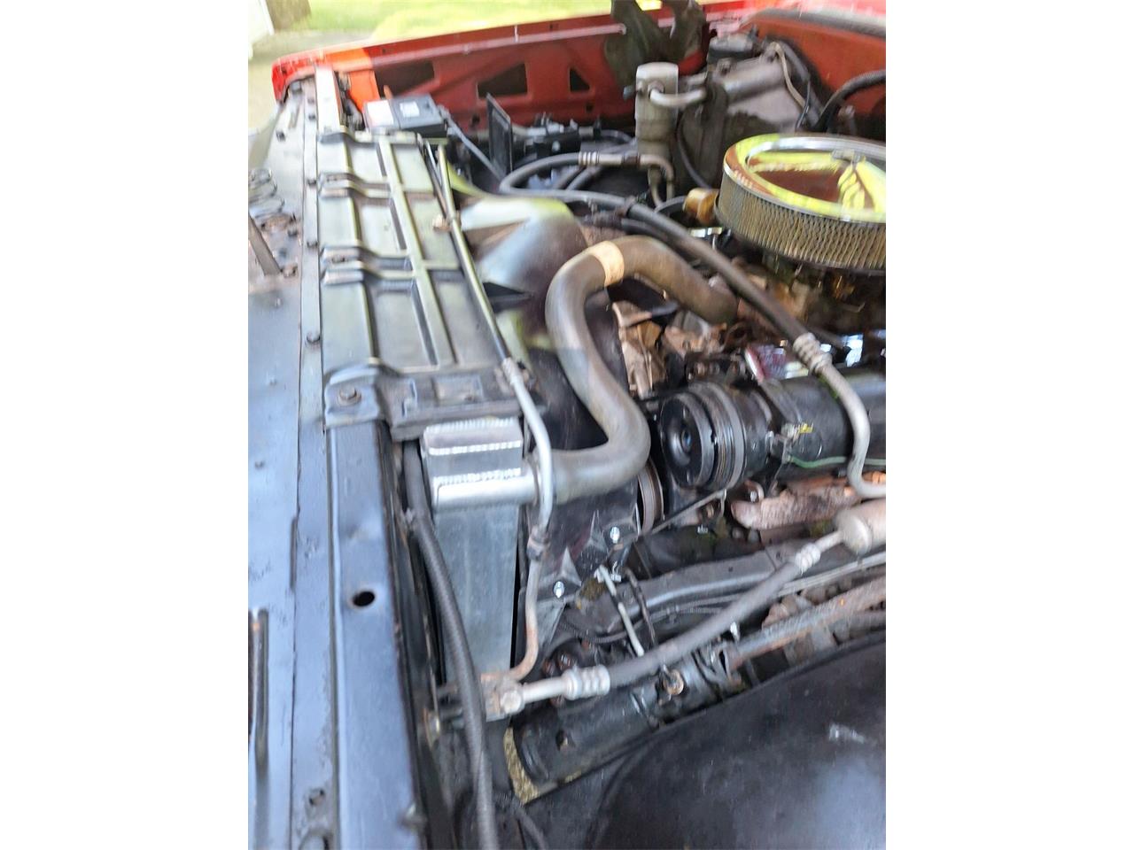Chevrolet-C10-1978-Red-amp-White-Red-4