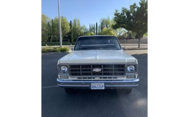 Chevrolet-C10-1978-Tan-Brown-1